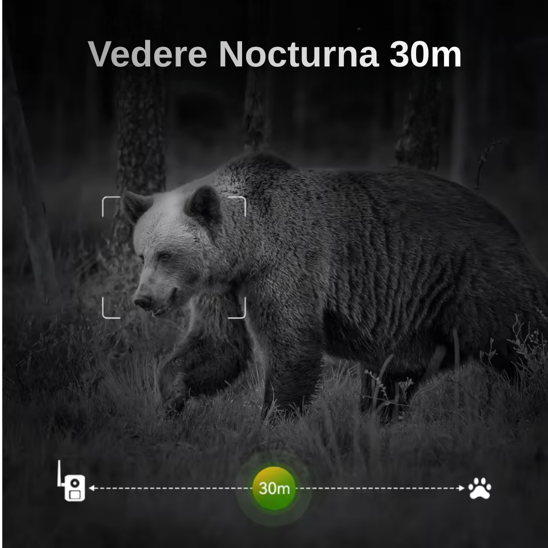 Cameră 4G wildlife cu rezoluție 2.7K, panou solar și vedere nocturnă IR.